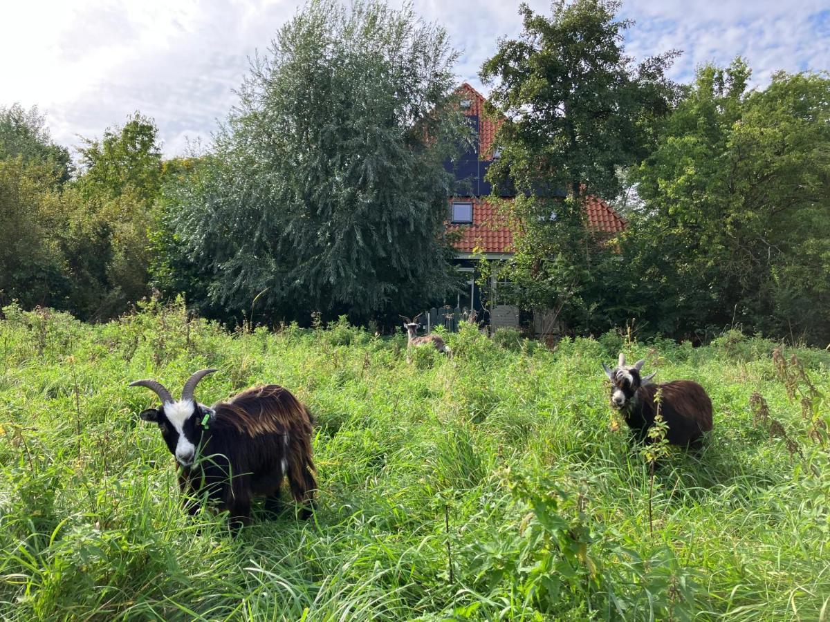 Inn Het Nest Amsterdam Esterno foto